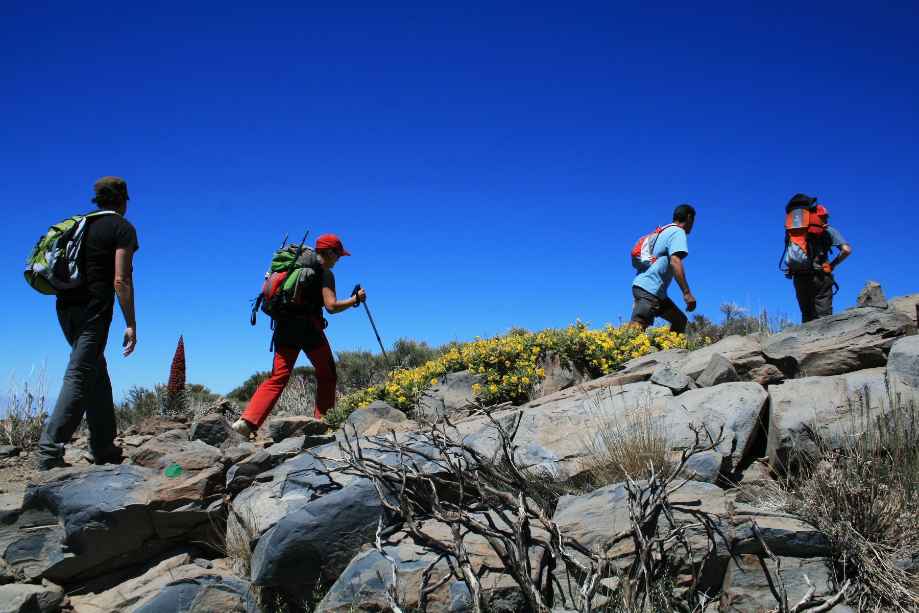 Carrera de montaña