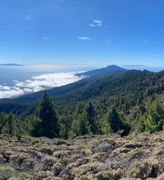 Tour Privado por Tenerife