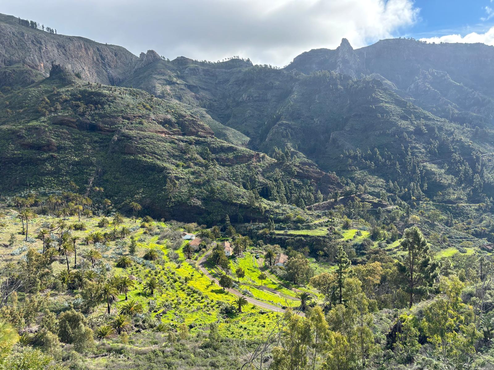 Valle verde de La Gomera