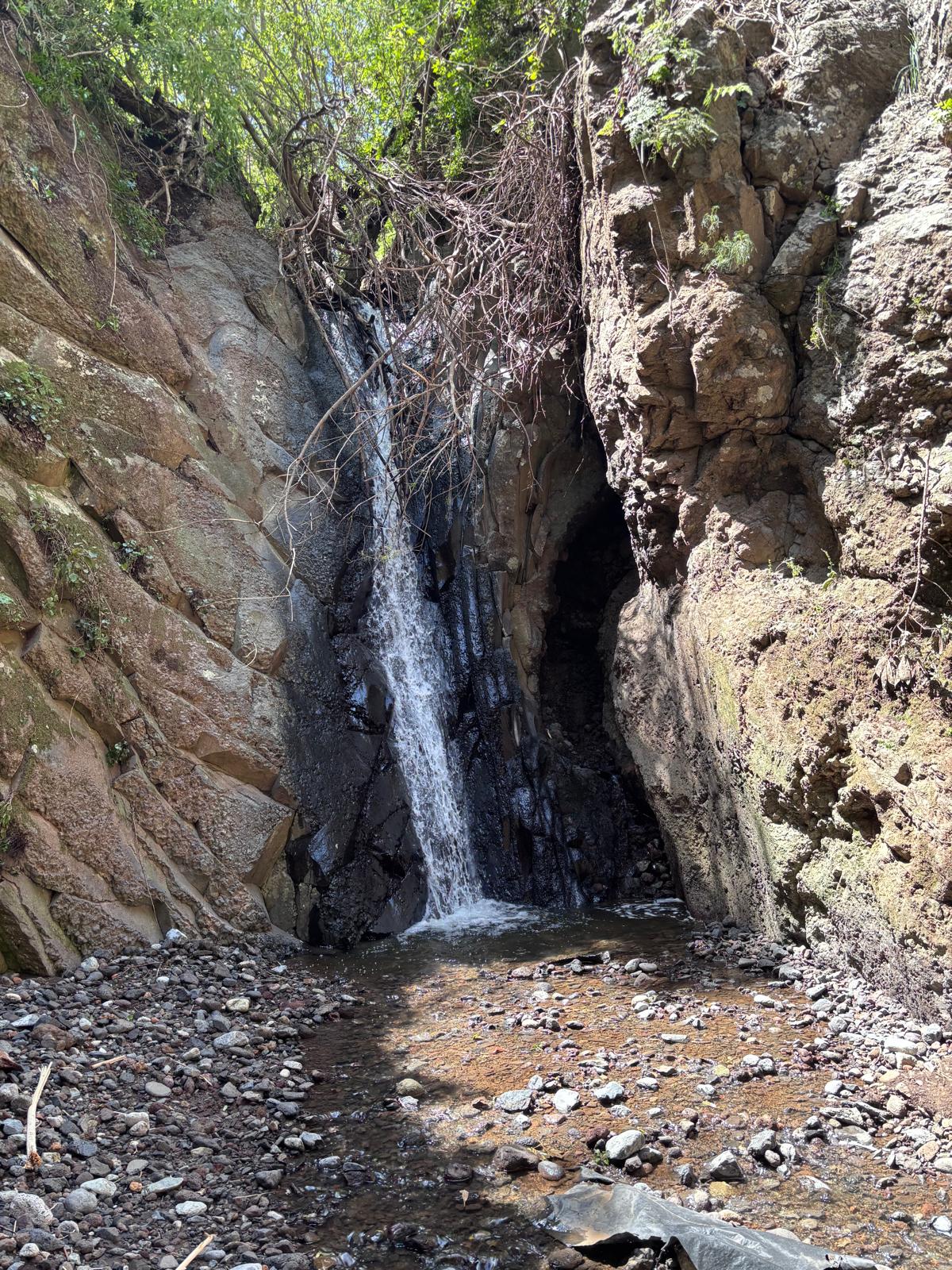 Cascada en Los Tilos, La Palma