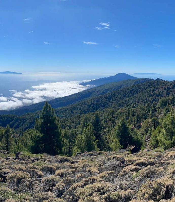 Panoramica